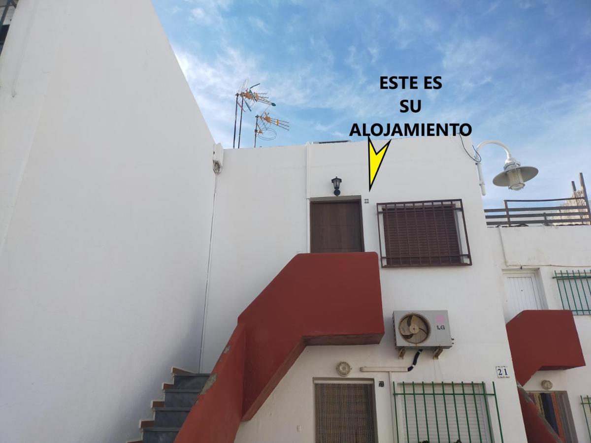 Estrellas En Negras